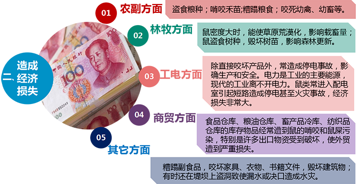 老鼠危害