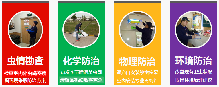 灭苍蝇