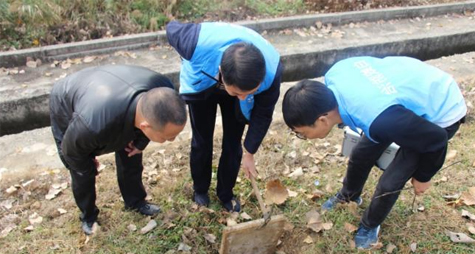陕西堤坝白蚁防治方案